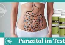 Parazitol Titelbild