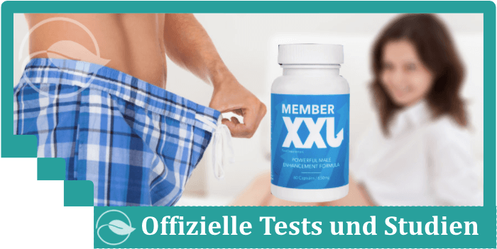 Member XXL Test Studien