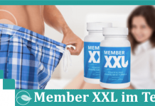 Member xxl Titelbild