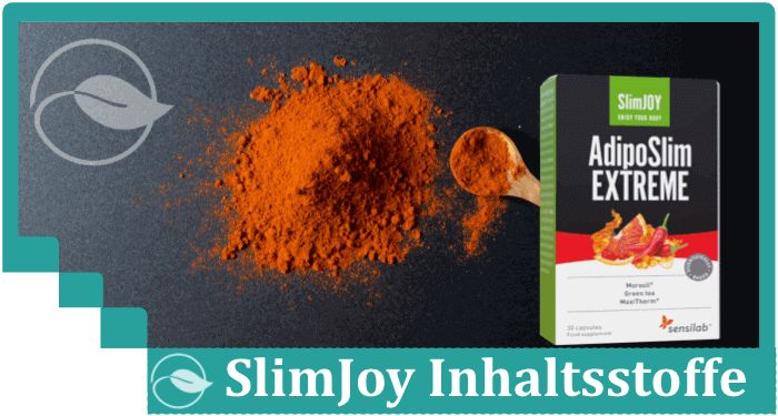 Slimjoy Inhaltsstoffe Wirkstoffe