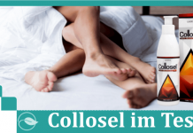 Collosel Titelbild