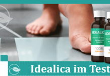 Idealica Titelbild
