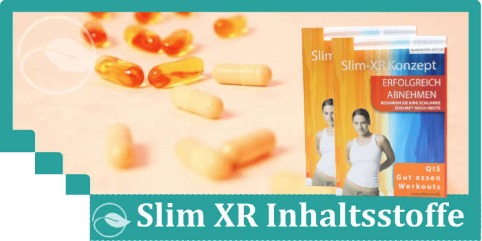 Slim XR Inhaltsstoffe