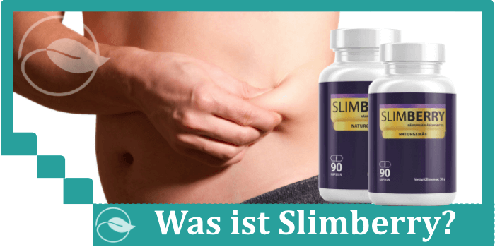 Was ist Slimberry