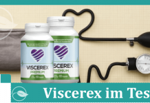 Viscerex Titelbild