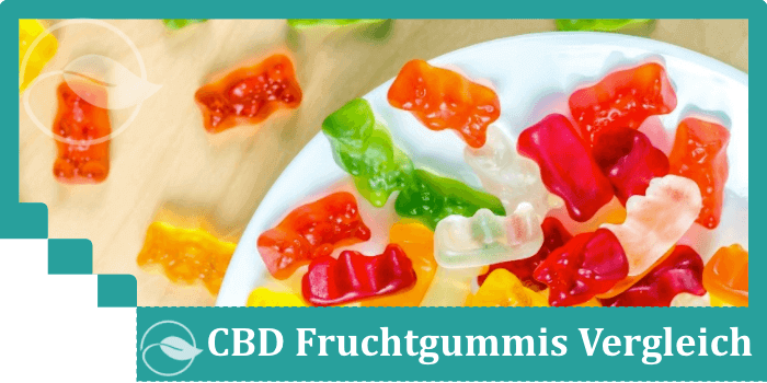 CBD Fruchtgummis Test Bewertung Vergleich