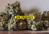 CBD Produkte