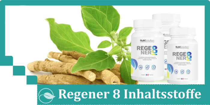 Regener 8 Inhaltsstoffe